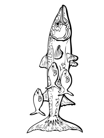 Barracuda And Remora Fishes Coloring Page